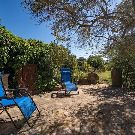 Tatil Evi Casa Lilliu