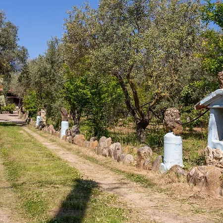 Tatil Evi Casa Lilliu *